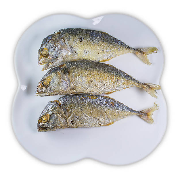 istock mackerel fry ,Thai food 520978813