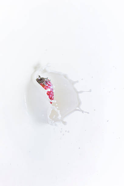 Fresh strawberry falling down into splashing milk