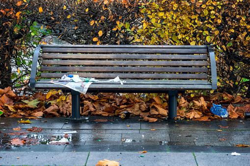 wooden park bench with wet newspaper on rainy autumn day