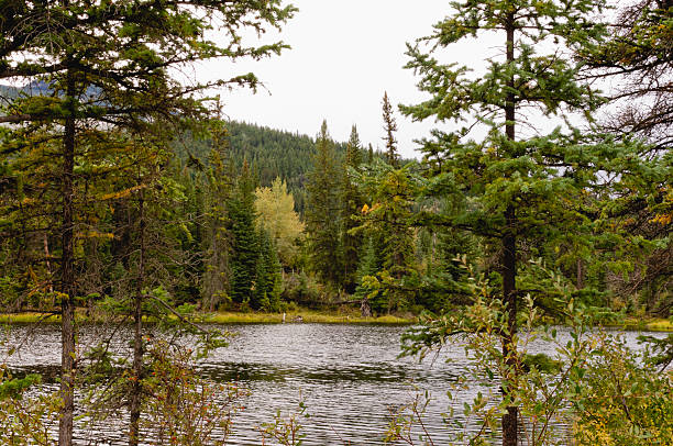 istock Rippled lake in the autumn 520985204