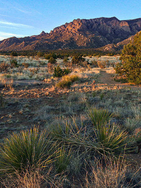 istock inspiration nature landscape 520985380