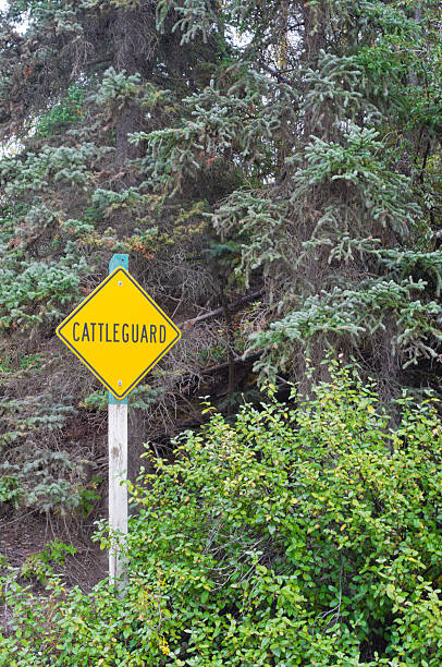 istock Roadside cattleguard sign in bush 520985418