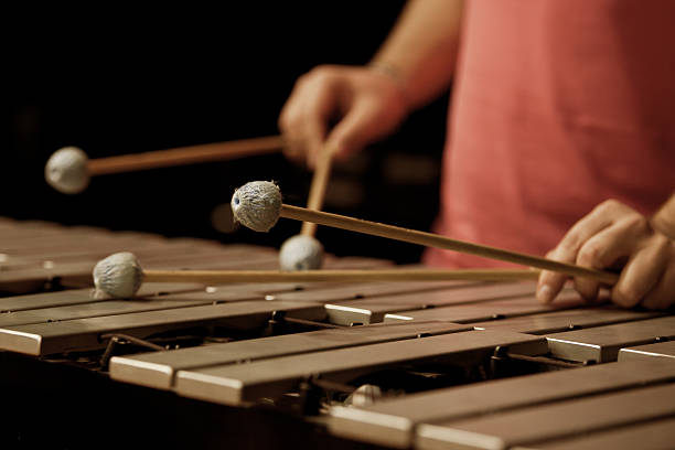 istock Hands of musician playing the vibraphone 520998747