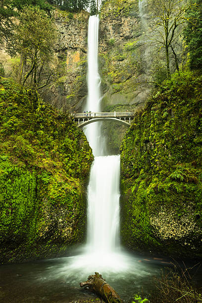 istock Multnomah waterfall near Portland, Oregon 521002178
