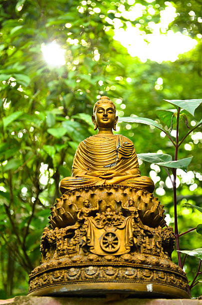 istock Buddha statue sunset in 