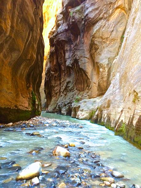 istock Hiking Zion Narrows 521002418