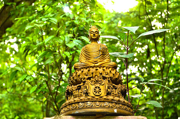 istock Buddha statue sunset in 