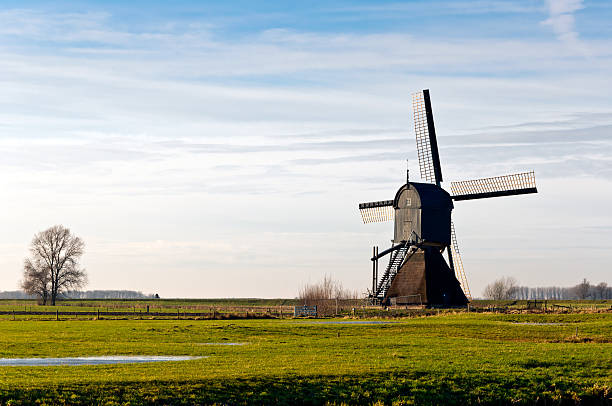 istock Dutch windmill in a winter landscape 521003011