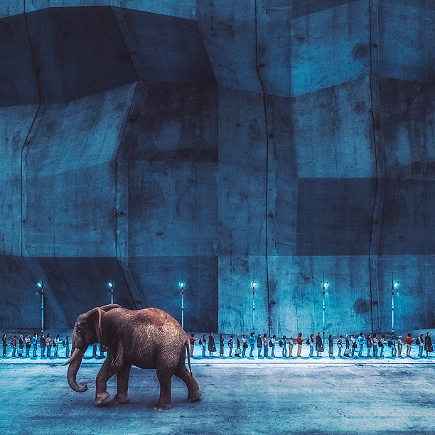 Elephant walking on the street.