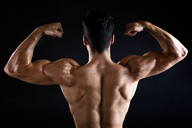 istock Beautiful and muscular man in dark background. 521004591