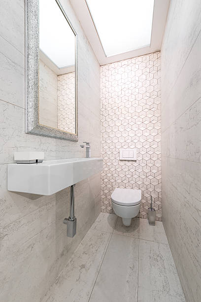 istock WC pan and lavatory in bathroom interior 521004630