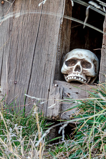 istock Halloween Skulls and Decorations 521005891