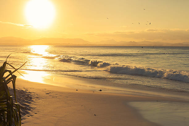 Early morning it beautiful Byorn Bay beach called Wategos. Photo featuring mount warning in the back and seagulls above the ocean.