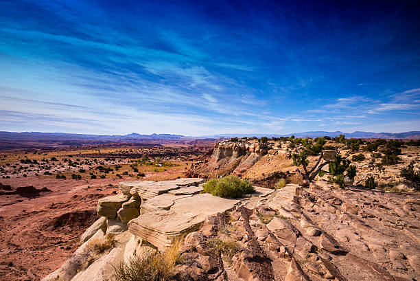 istock Arizona landscape with cliffs,vegetation,mountains and blue sky. 521008814