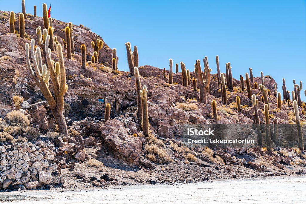 Incahuasi Island Incahuasi Island in the Uyuni Salt Desert, Bolivia Altiplano Stock Photo