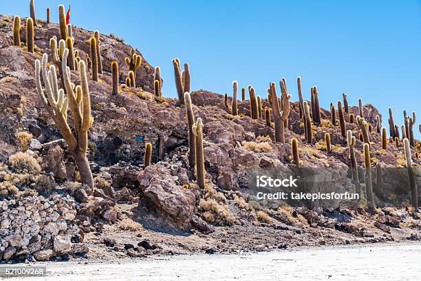 Incahuasi Island Stock Photo - Download Image Now - Altiplano, Ancient, Andes