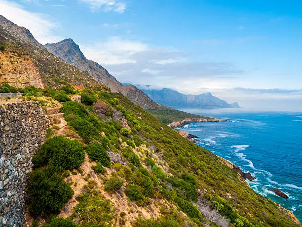 View of the forage and the coast in the Garden Route in South Africa