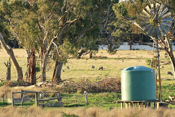 istock Rural sheep property in Gippsland Australia 521011964
