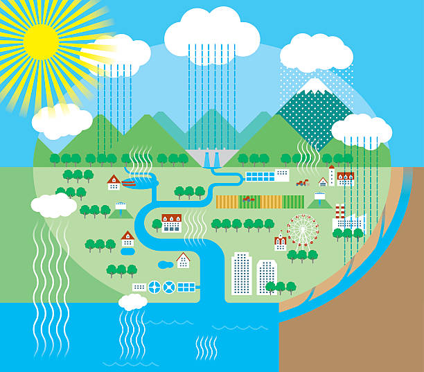 ilustrações, clipart, desenhos animados e ícones de ciclo de água - estuary