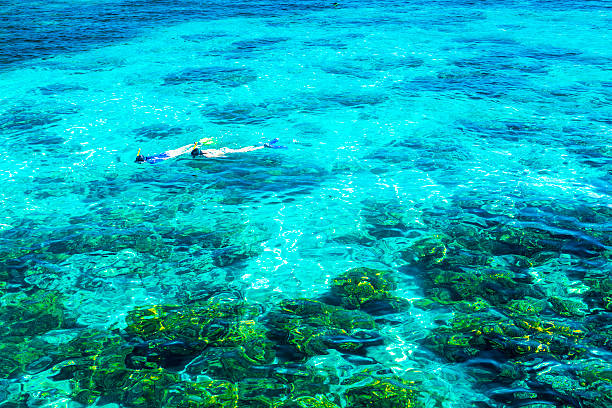 istock Great Barrier Reef, Queensland, Australia 521023457