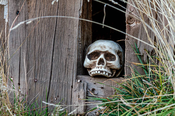 istock Halloween Skulls and Decorations 521023911