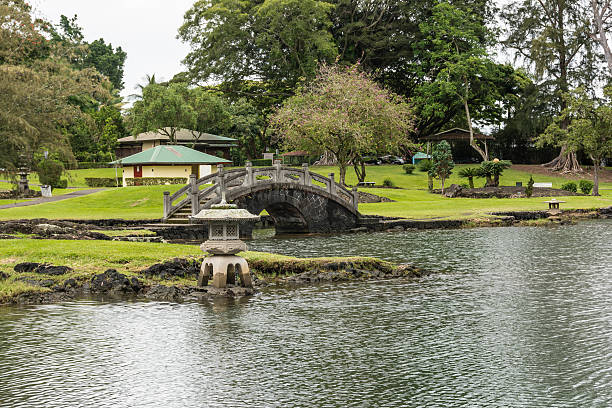 istock The garden in Hilo, Hawaii 521023967