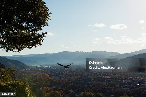 Black Forest In Autumn Stock Photo - Download Image Now - Autumn, Baden-Württemberg, Cloudscape