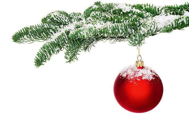 istock Red Christmas bauble hanging from a snow-covered twig 521025089