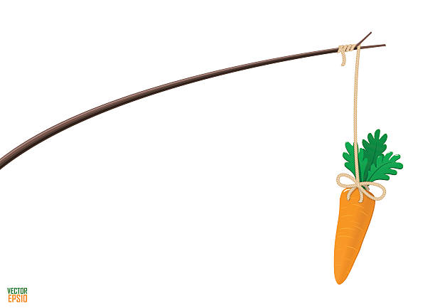 illustrations, cliparts, dessins animés et icônes de carotte et du bâton de motivation illustration. - stick dangling a carrot carrot motivation
