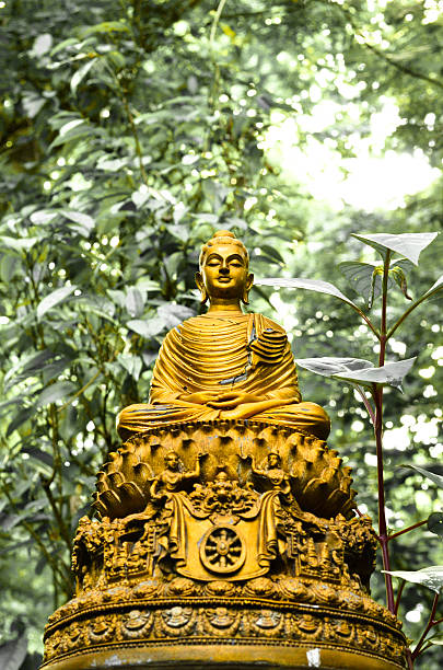 istock Buddha statue sunset in 