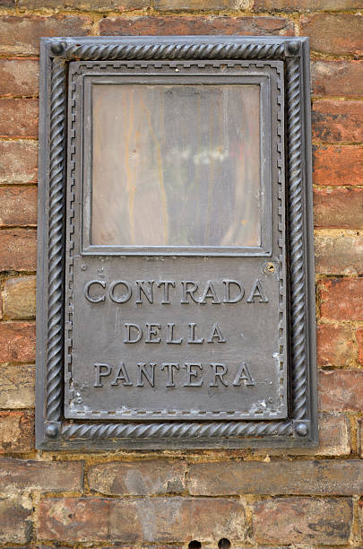 istock District of the panther, Siena 521029361