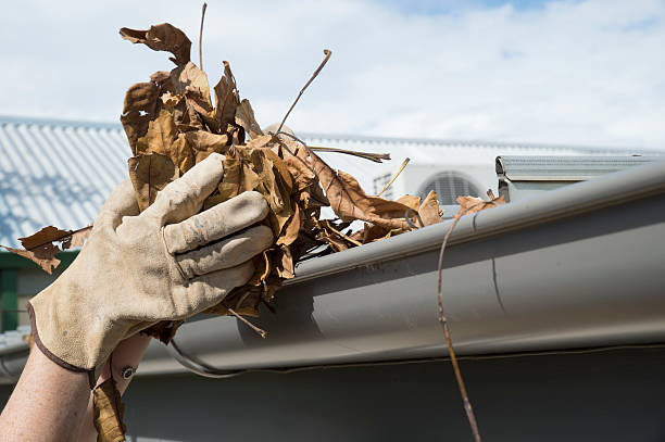 Close up of hand holding leaves Person cleans the leaves from the gutter during Autumn downspout stock pictures, royalty-free photos & images