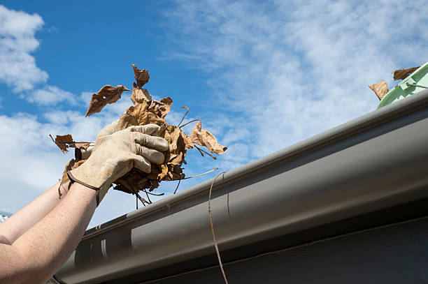 Hand holds leaves with blue sky