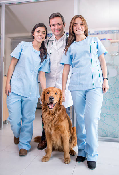 istock Dog at the Vet 521038507