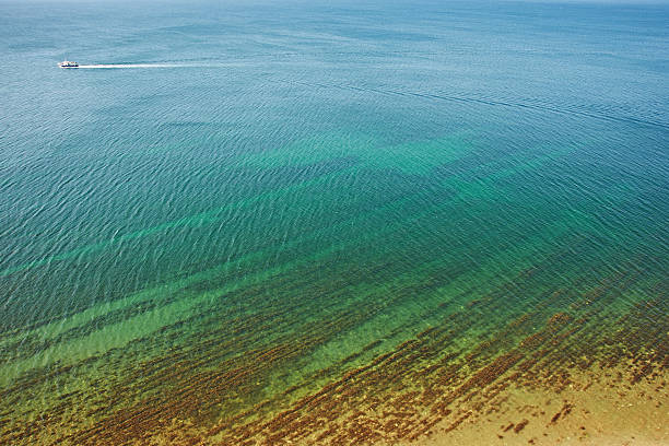 istock Boat at sea and beautiful seabed 521038741