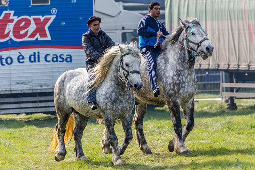 Kalugerovo, Bulgaria - March 19, 2016: St. Theodore's Day or Horse day celebrations in Kalugerovo village, Bulgaria. The event includes horse beauty pageant and horse races called Kushii