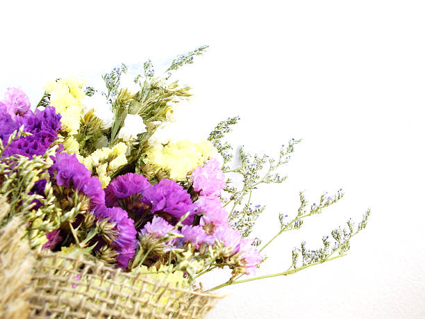 istock beautiful statice flowers bouquet 521043174