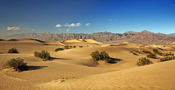 istock panoramic view of sand dunes in Death Valley 521043554