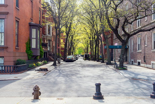 Día soleado en la calle en Brooklyn, Nueva York photo