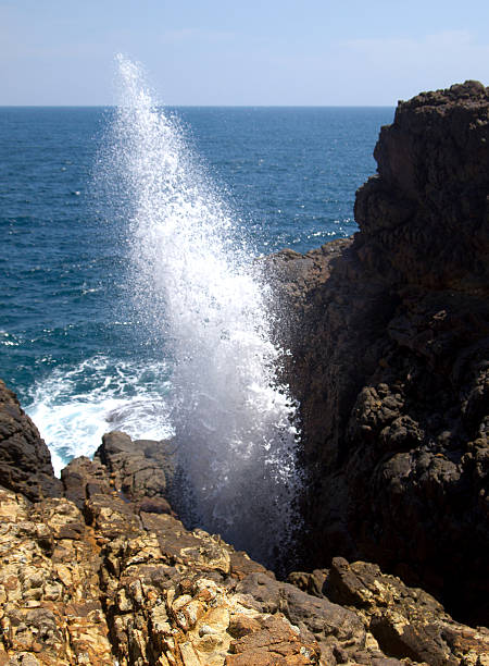 istock Blow hole in Hummanaya, Sri Lanka 521047371