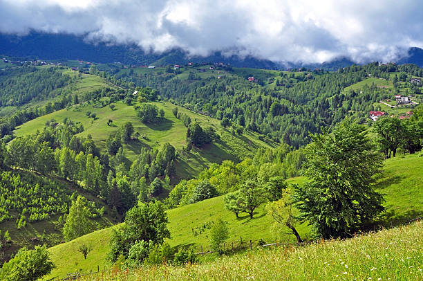 istock Vibrant green hills and mountains 521047451