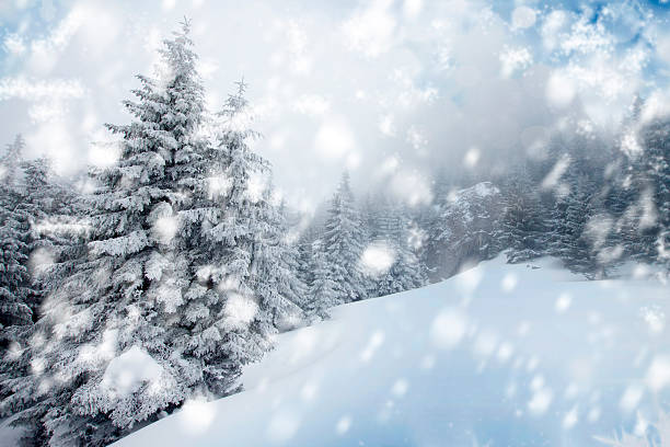 istock Christmas background with snowy fir trees 521048251