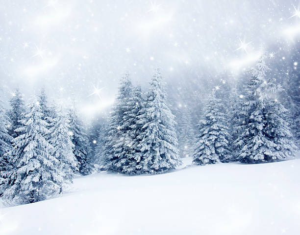 istock Christmas background with snowy fir trees 521050085