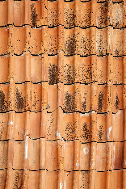 istock Old roof tiles 521072967