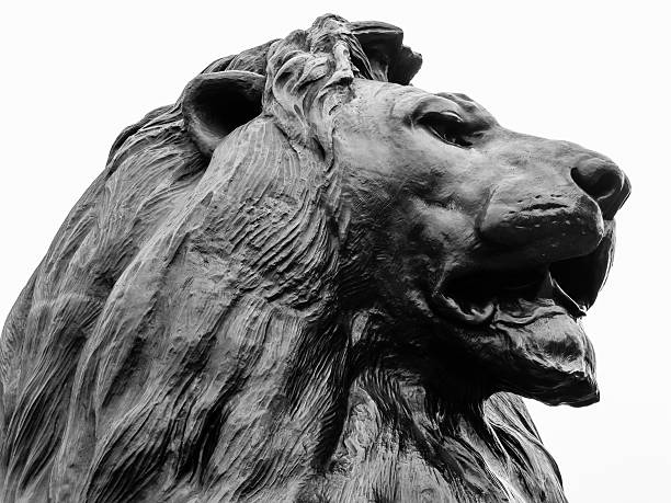 leone piazza trafalgar - lion statue london england trafalgar square foto e immagini stock