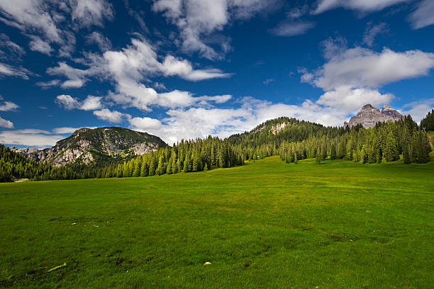 Meadows near Tre Cime di Lavaredo mountains in Dolomites stock photo