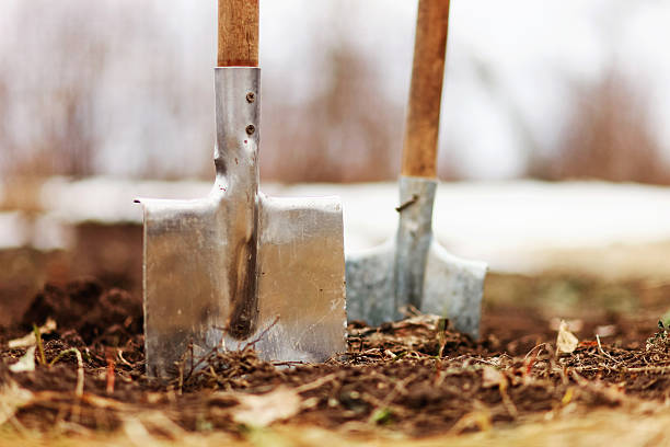 istock The shovel closeup. 521077454