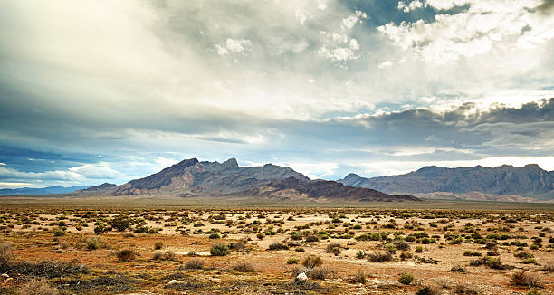 vue panoramique de le désert de mojave - mojave yucca photos et images de collection
