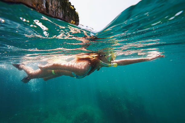 istock Put snorkeling on your bucket list 521080314