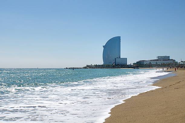 istock Swimming at Barcelona Beach 521081422